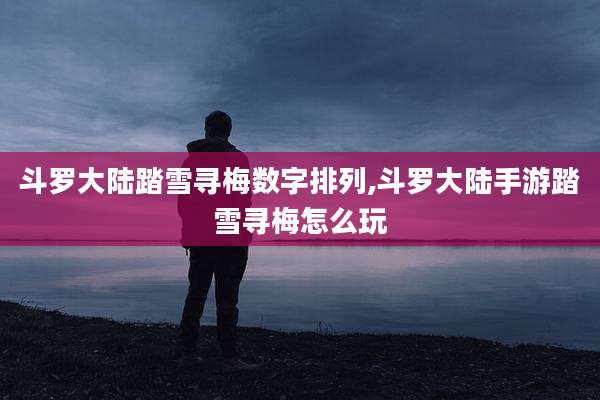 斗罗大陆踏雪寻梅数字排列,斗罗大陆手游踏雪寻梅怎么玩