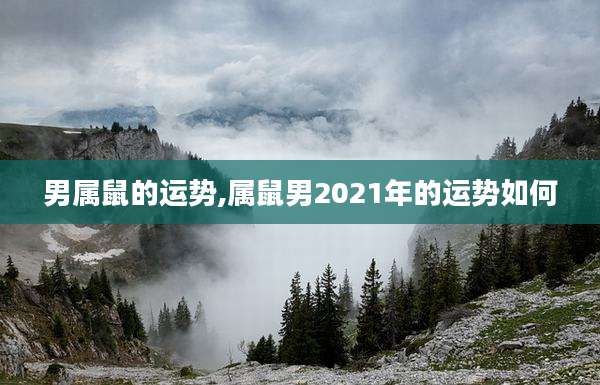 男属鼠的运势,属鼠男2021年的运势如何