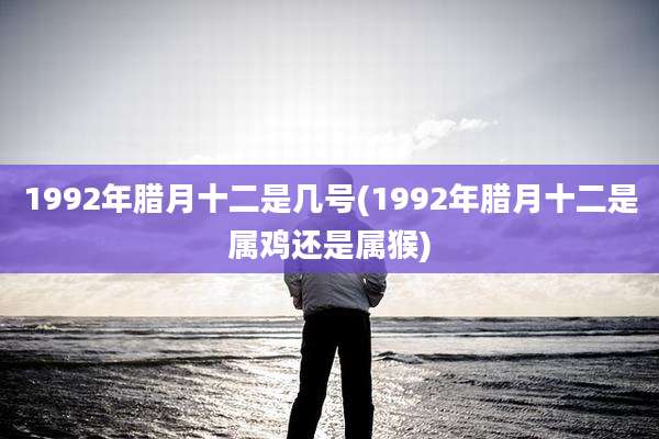 1992年腊月十二是几号(1992年腊月十二是属鸡还是属猴)