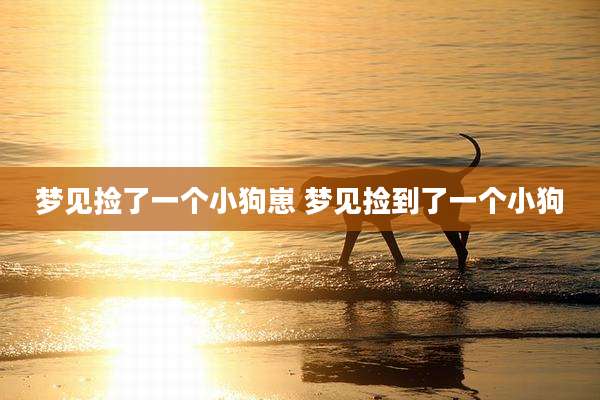 梦见捡了一个小狗崽 梦见捡到了一个小狗