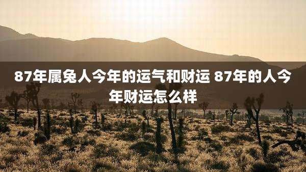 87年属兔人今年的运气和财运 87年的人今年财运怎么样