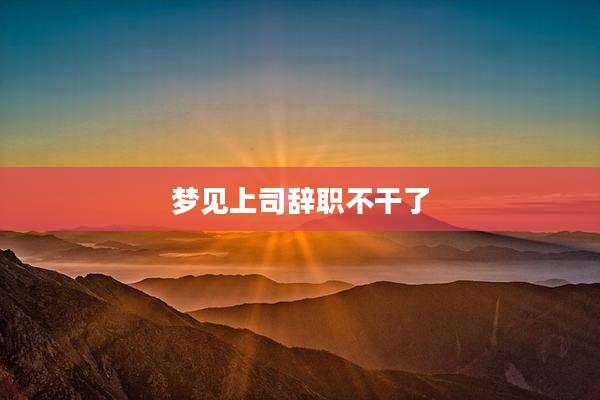 梦见上司辞职不干了