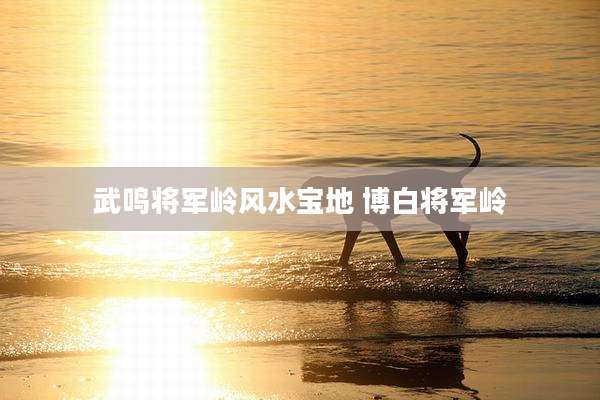 武鸣将军岭风水宝地 博白将军岭