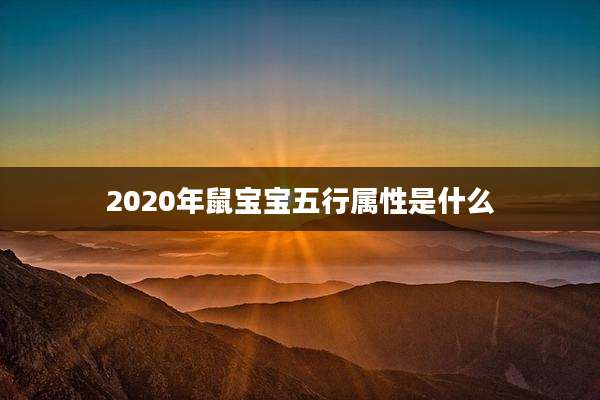 2020年鼠宝宝五行属性是什么