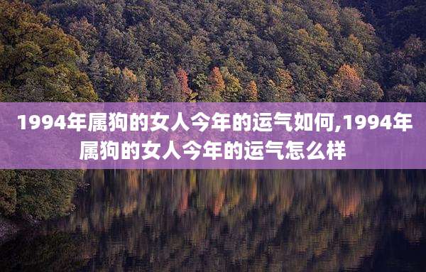 1994年属狗的女人今年的运气如何,1994年属狗的女人今年的运气怎么样