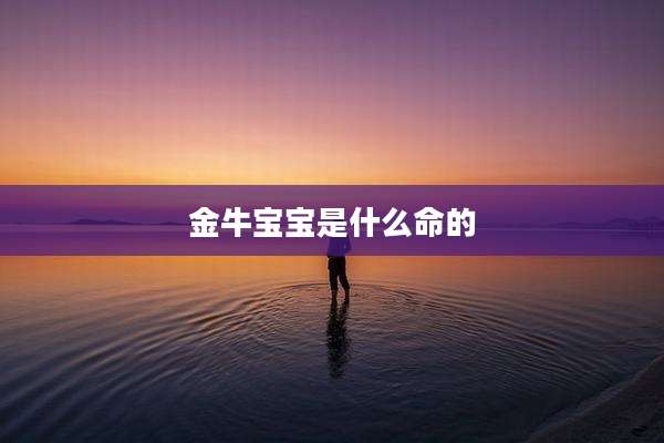 金牛宝宝是什么命的