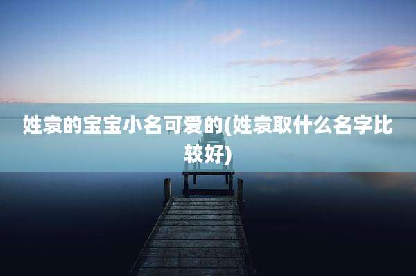 姓袁的宝宝小名可爱的(姓袁取什么名字比较好)