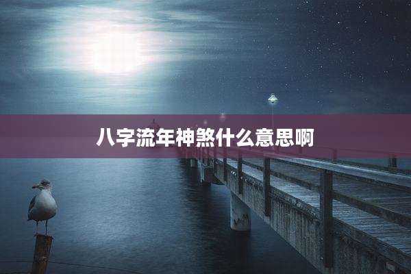 八字流年神煞什么意思啊