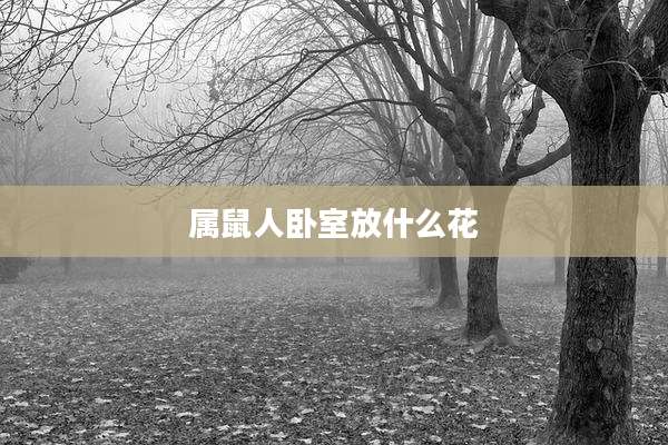 属鼠人卧室放什么花