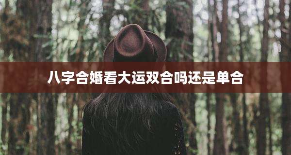 八字合婚看大运双合吗还是单合