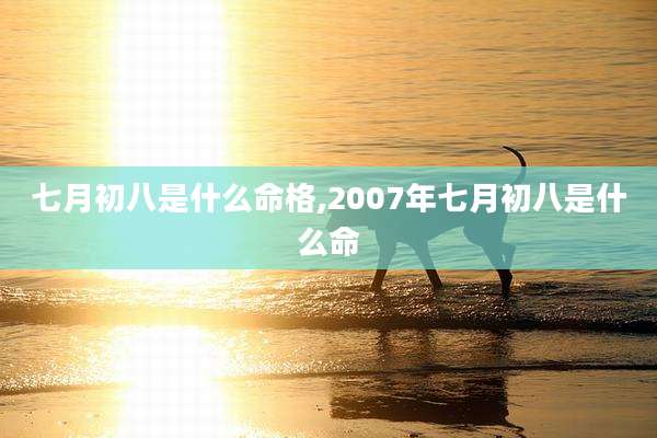 七月初八是什么命格,2007年七月初八是什么命