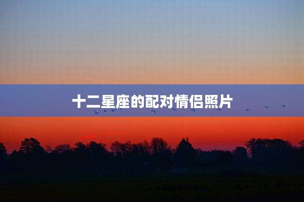 十二星座的配对情侣照片