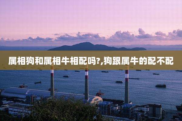 属相狗和属相牛相配吗?,狗跟属牛的配不配