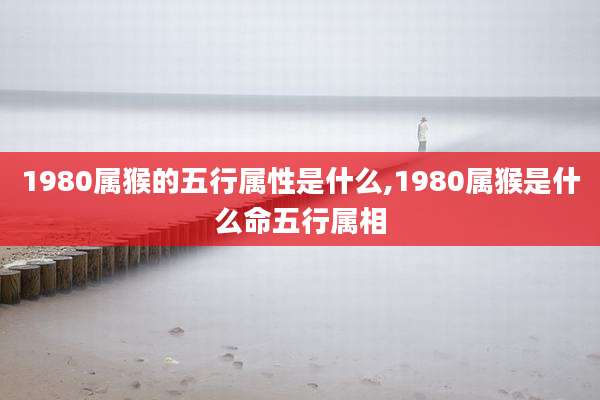 1980属猴的五行属性是什么,1980属猴是什么命五行属相