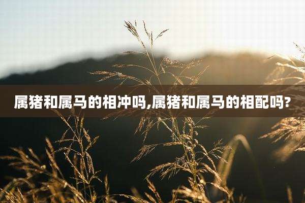 属猪和属马的相冲吗,属猪和属马的相配吗?