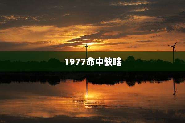 1977命中缺啥