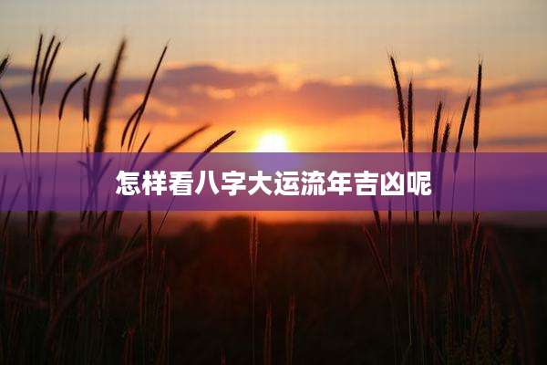 怎样看八字大运流年吉凶呢