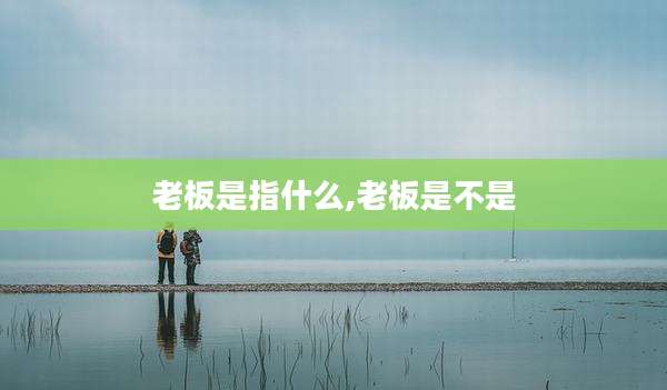 老板是指什么,老板是不是