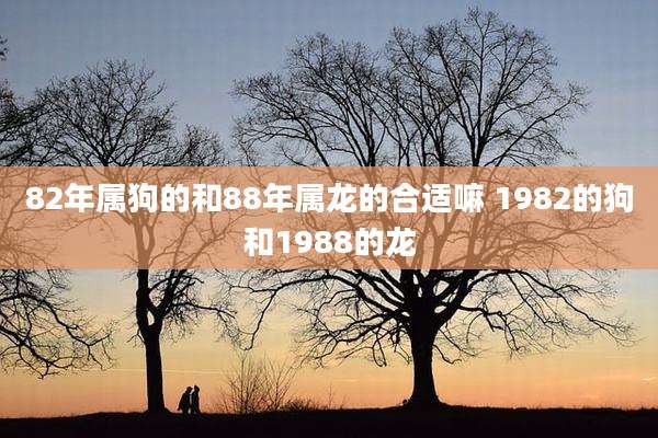 82年属狗的和88年属龙的合适嘛 1982的狗和1988的龙