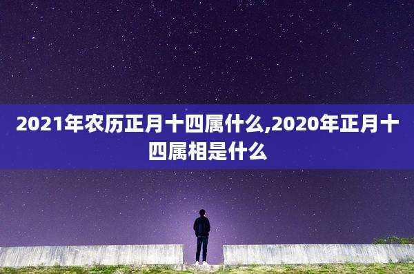 2021年农历正月十四属什么,2020年正月十四属相是什么