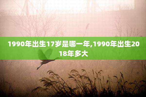 1990年出生17岁是哪一年,1990年出生2018年多大
