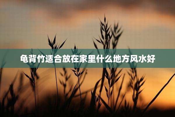龟背竹适合放在家里什么地方风水好