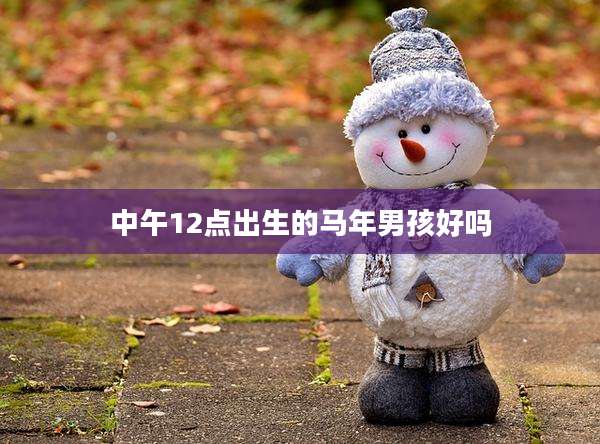 中午12点出生的马年男孩好吗