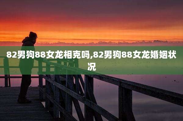 82男狗88女龙相克吗,82男狗88女龙婚姻状况