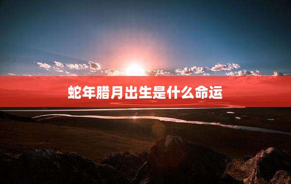 蛇年腊月出生是什么命运