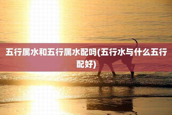 五行属水和五行属水配吗(五行水与什么五行配好)