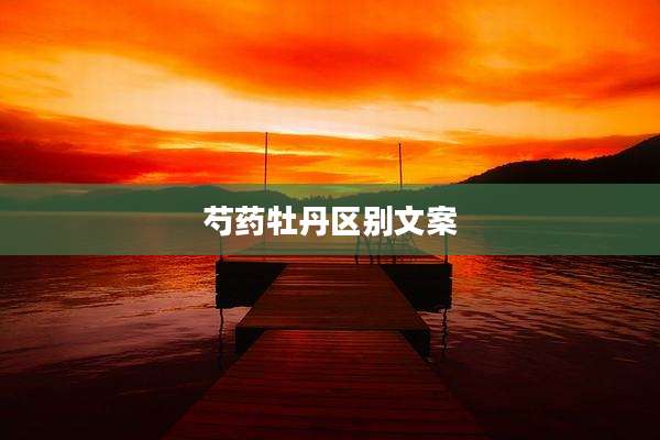 芍药牡丹区别文案
