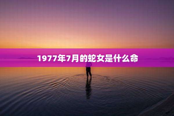 1977年7月的蛇女是什么命