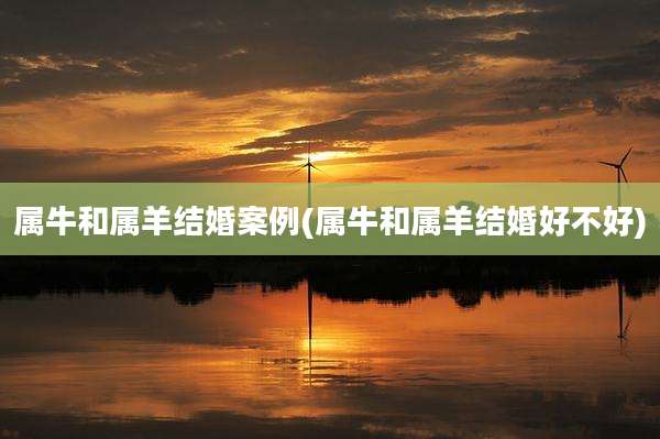 属牛和属羊结婚案例(属牛和属羊结婚好不好)
