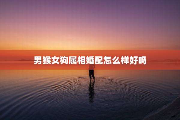男猴女狗属相婚配怎么样好吗