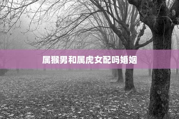 属猴男和属虎女配吗婚姻