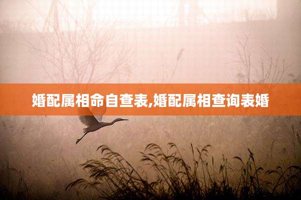 婚配属相命自查表,婚配属相查询表婚