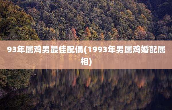 93年属鸡男最佳配偶(1993年男属鸡婚配属相)