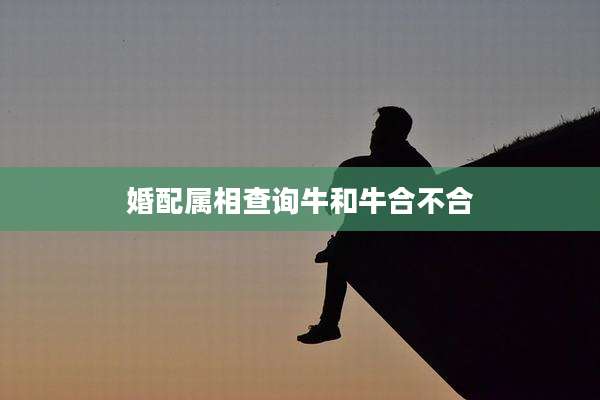 婚配属相查询牛和牛合不合