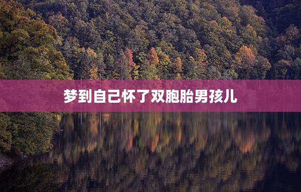 梦到自己怀了双胞胎男孩儿