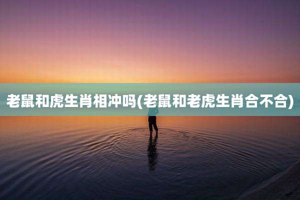 老鼠和虎生肖相冲吗(老鼠和老虎生肖合不合)