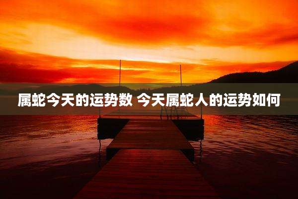 属蛇今天的运势数 今天属蛇人的运势如何