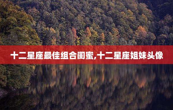 十二星座最佳组合闺蜜,十二星座姐妹头像
