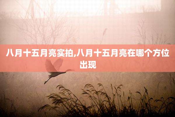 八月十五月亮实拍,八月十五月亮在哪个方位出现