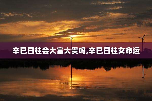 辛巳日柱会大富大贵吗,辛巳日柱女命运