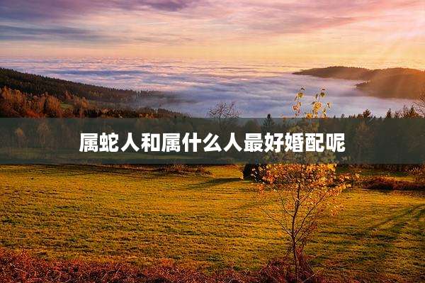 属蛇人和属什么人最好婚配呢