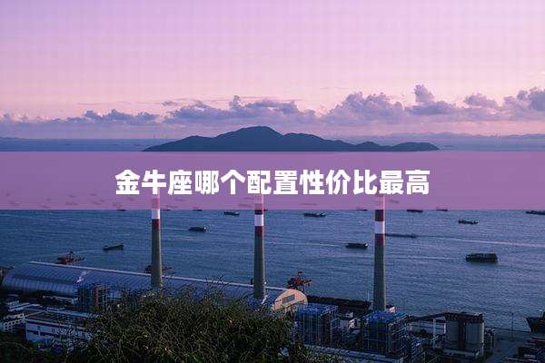 金牛座哪个配置性价比最高