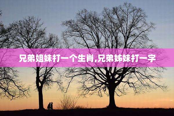 兄弟姐妹打一个生肖,兄弟姊妹打一字