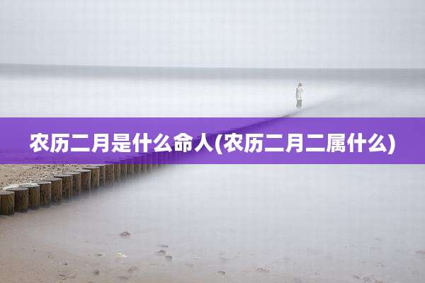 农历二月是什么命人(农历二月二属什么)