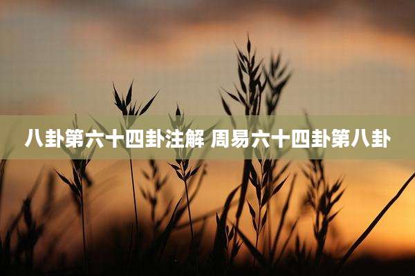 八卦第六十四卦注解 周易六十四卦第八卦