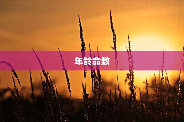 年龄命数